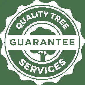 Arborist Reports