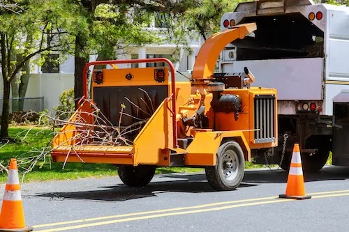 Stump Grinding